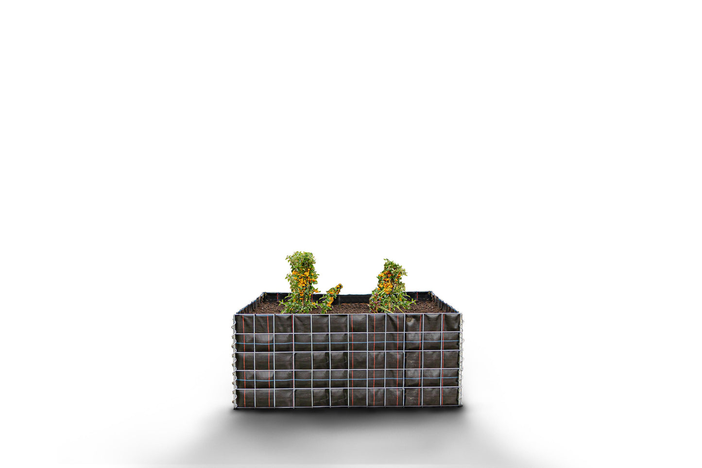 Letto rialzato rettangolare senza area in pietra - Lunghezza: 120 cm - Altezza: 50 cm - Profondità: 50 cm - Dimensioni della maglia: 10 x 10 cm