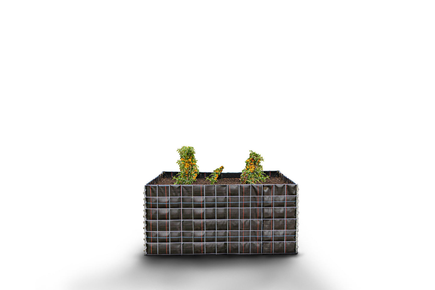 Hochbeet eckig ohne Steinbereich - Länge: 130 cm - Höhe: 60 cm - Tiefe: 60 cm - Maschenweite: 10 x 10 cm