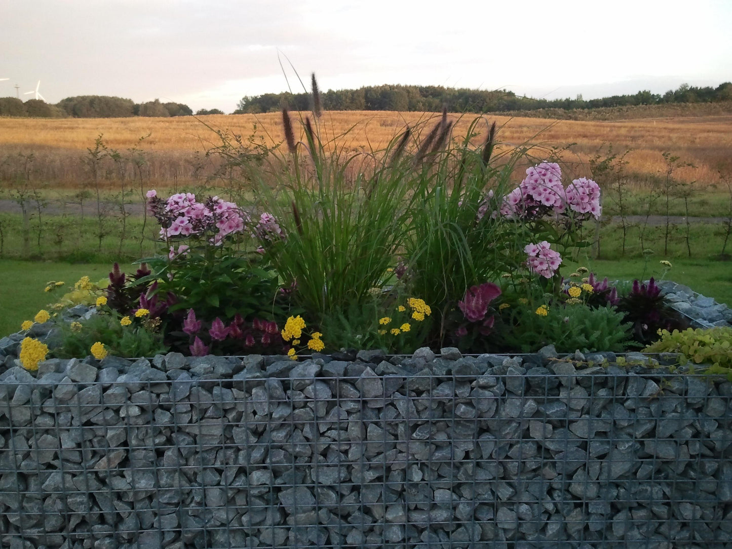 Lit surélevé carré 200 cm x 100 cm x 100 cm (L x H x P), mailles 5 x 5 cm, épaisseur des parois 10 cm