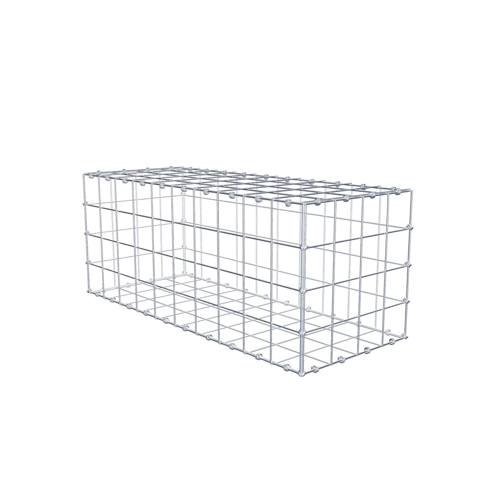 Gabion 100 cm x 40 cm x 40 cm (L x H x P), mailles 10 x 10 cm, anneau en spirale