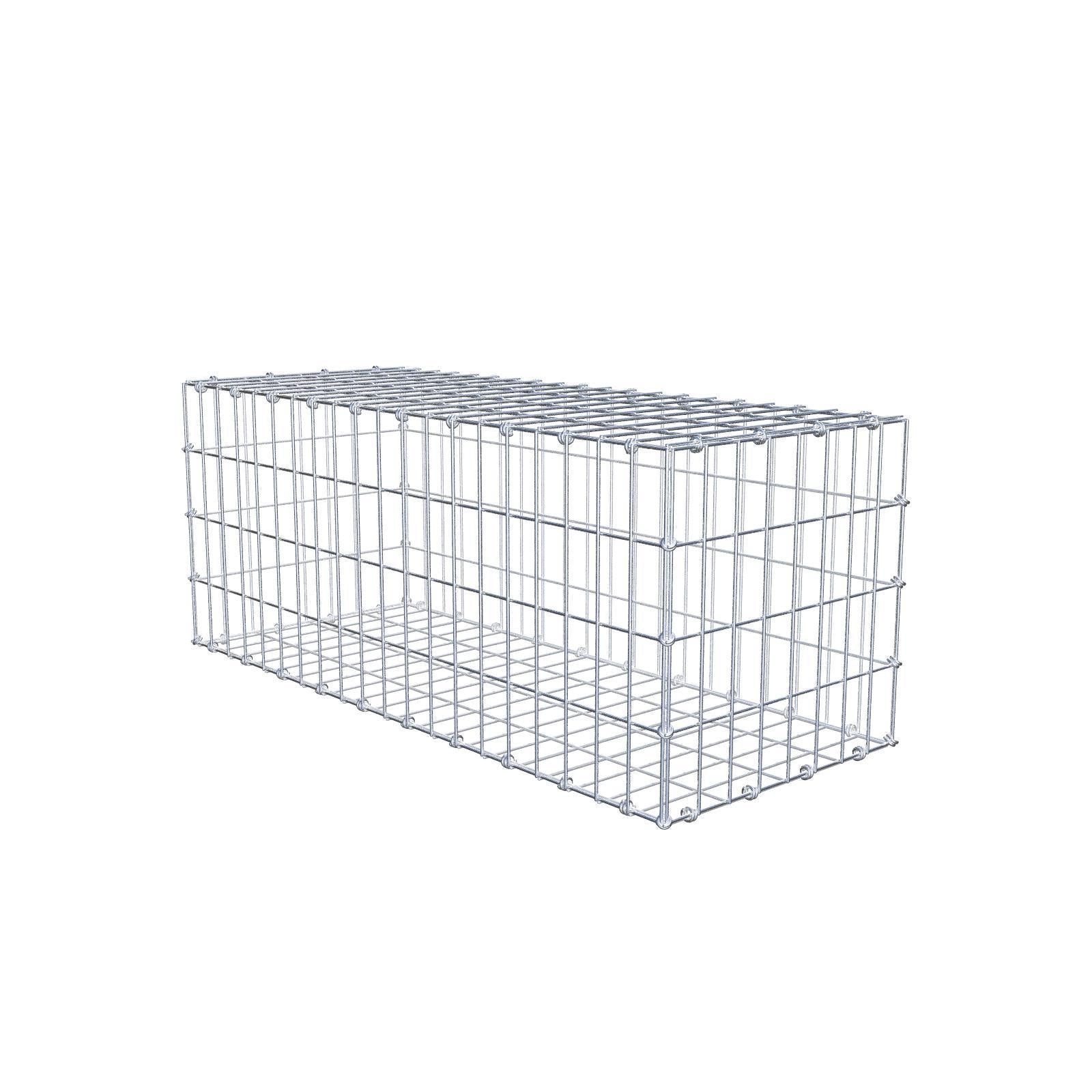 Gabion 100 cm x 40 cm x 40 cm (L x H x P), mailles 5 x 10 cm, anneau en spirale