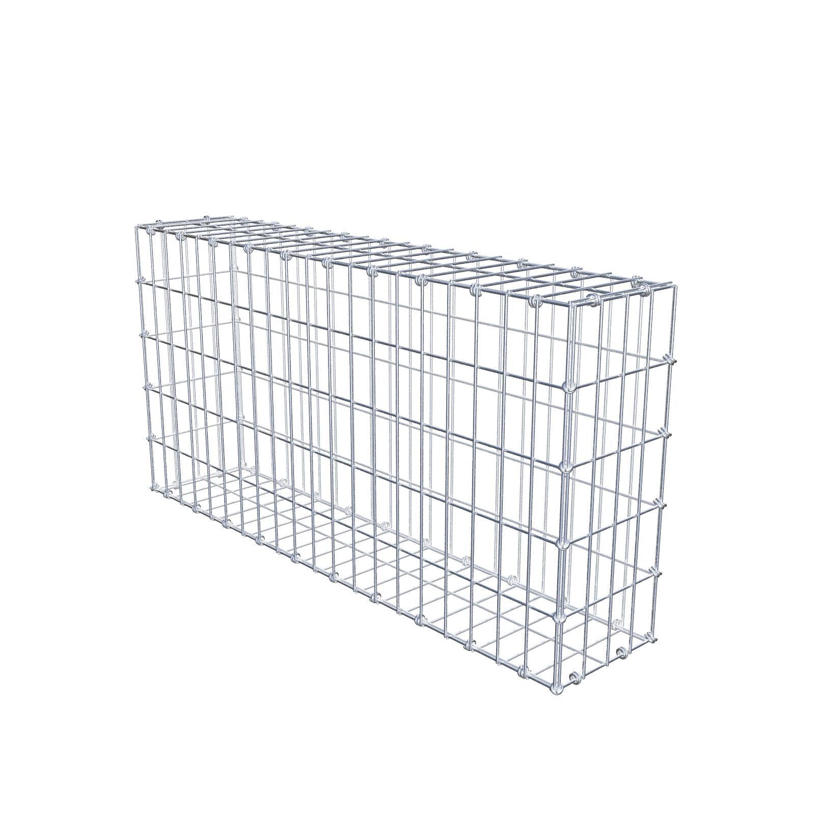 Gabion 100 cm x 50 cm x 20 cm (L x H x P), mailles 5 x 10 cm, anneau en spirale