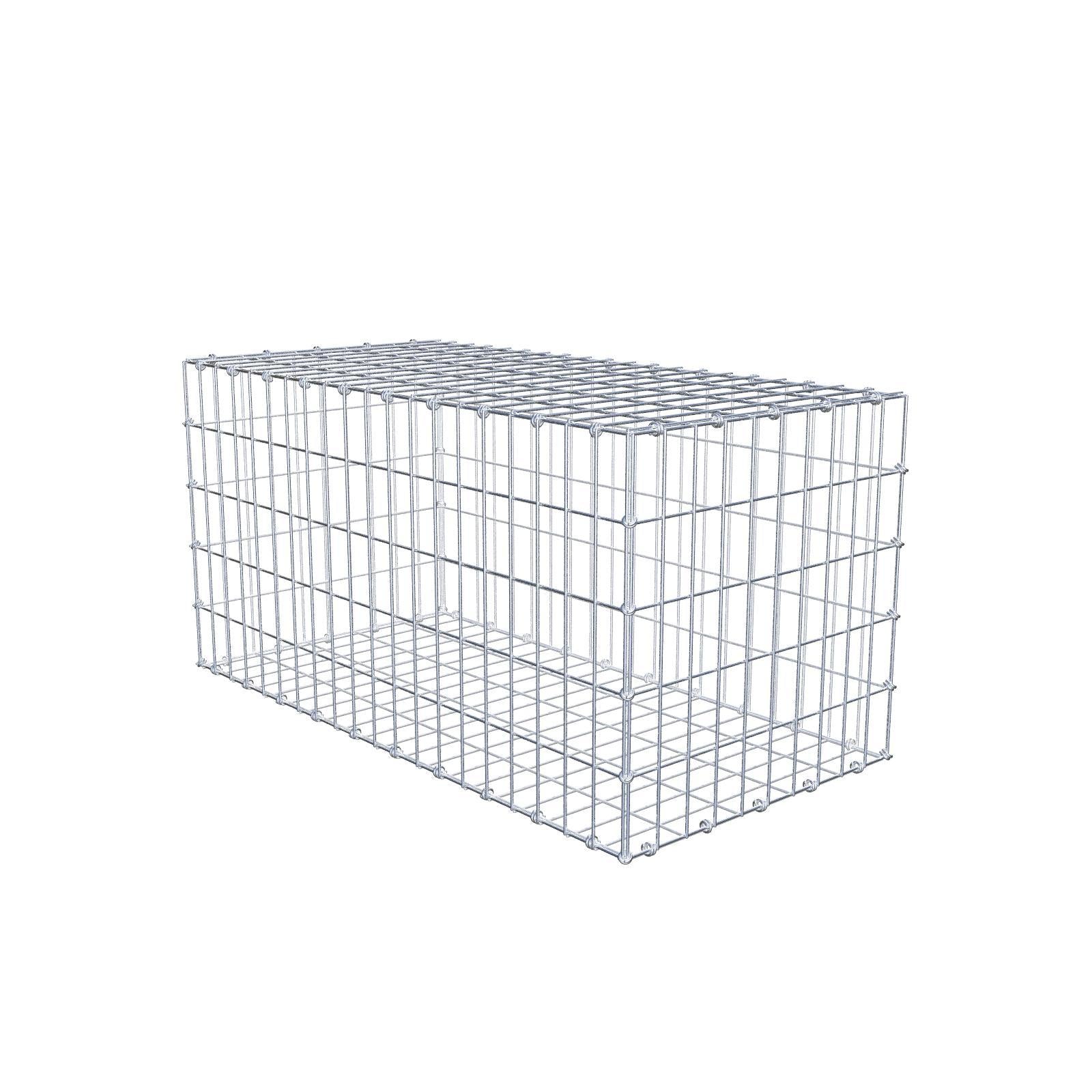 Gabion 100 cm x 50 cm x 50 cm (L x H x P), mailles 5 x 10 cm, anneau en spirale