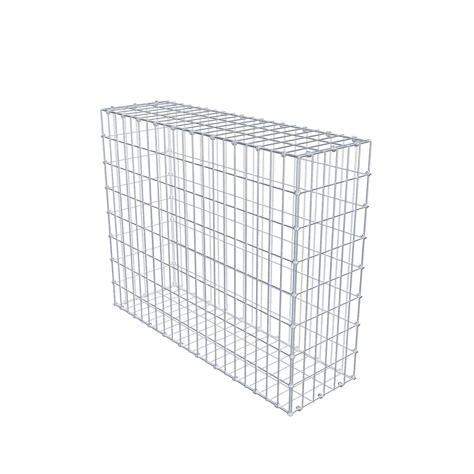 Gabion 100 cm x 80 cm x 30 cm (L x H x P), mailles 5 x 10 cm, anneau en spirale
