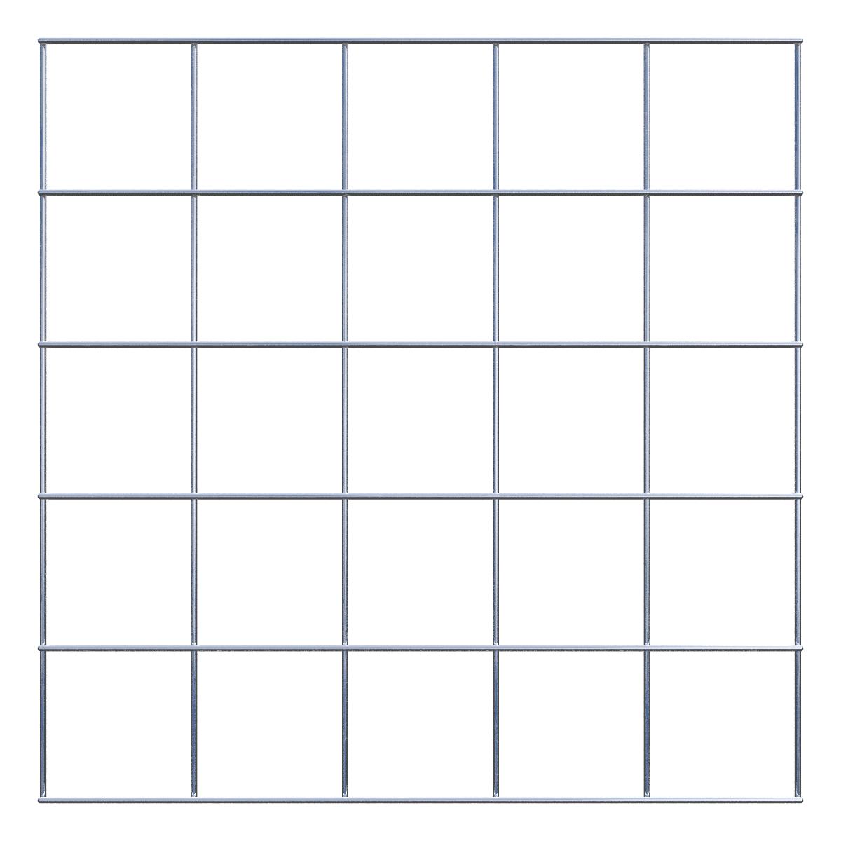 Grid 10 x 10 cm mesh size