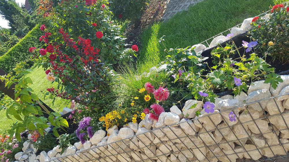 Gabionenhochbeet auf Maß - Maschenweite 5x10cm