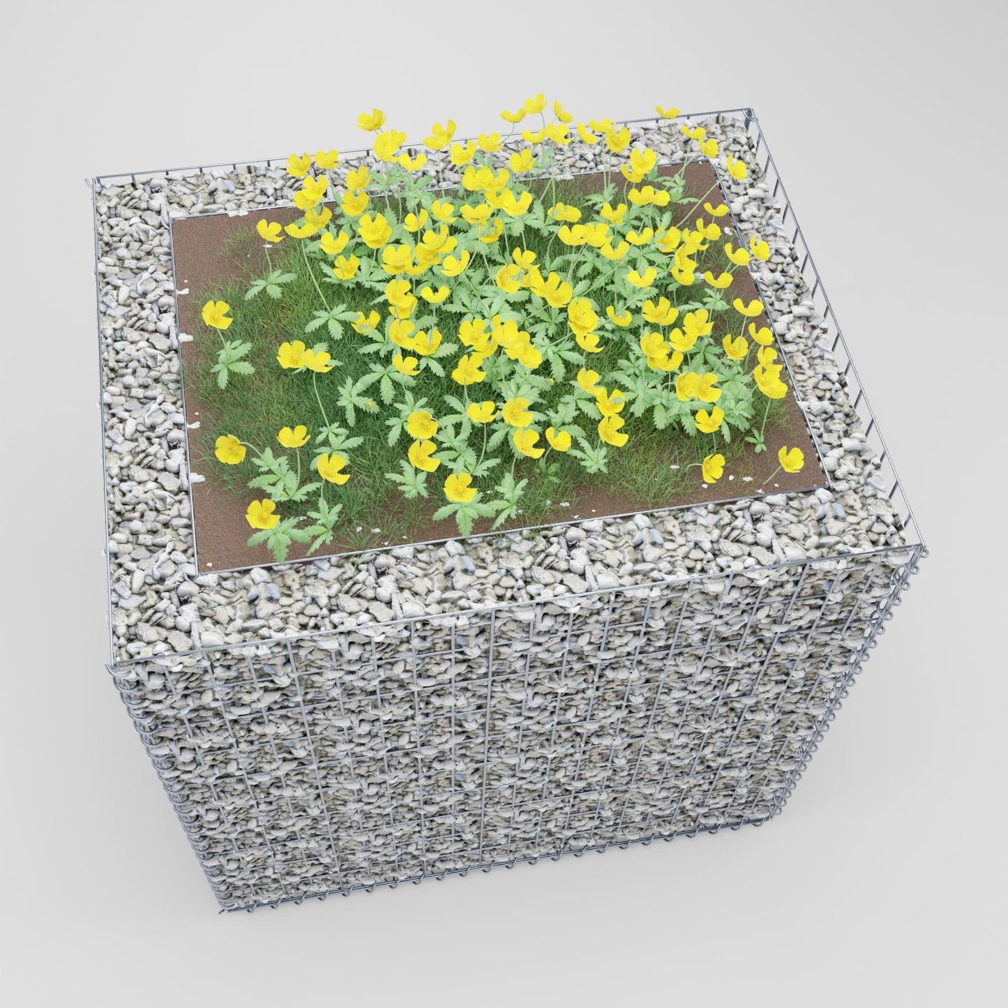 Lit surélevé carré 100 cm x 100 cm x 80 cm (L x H x P), mailles 5 x 10 cm, épaisseur des parois 10 cm