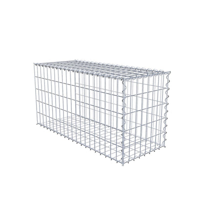 Grown-on gabion type 2 100 cm x 50 cm x 40 cm (L x H x D), mesh size 5 cm x 10 cm, spiral