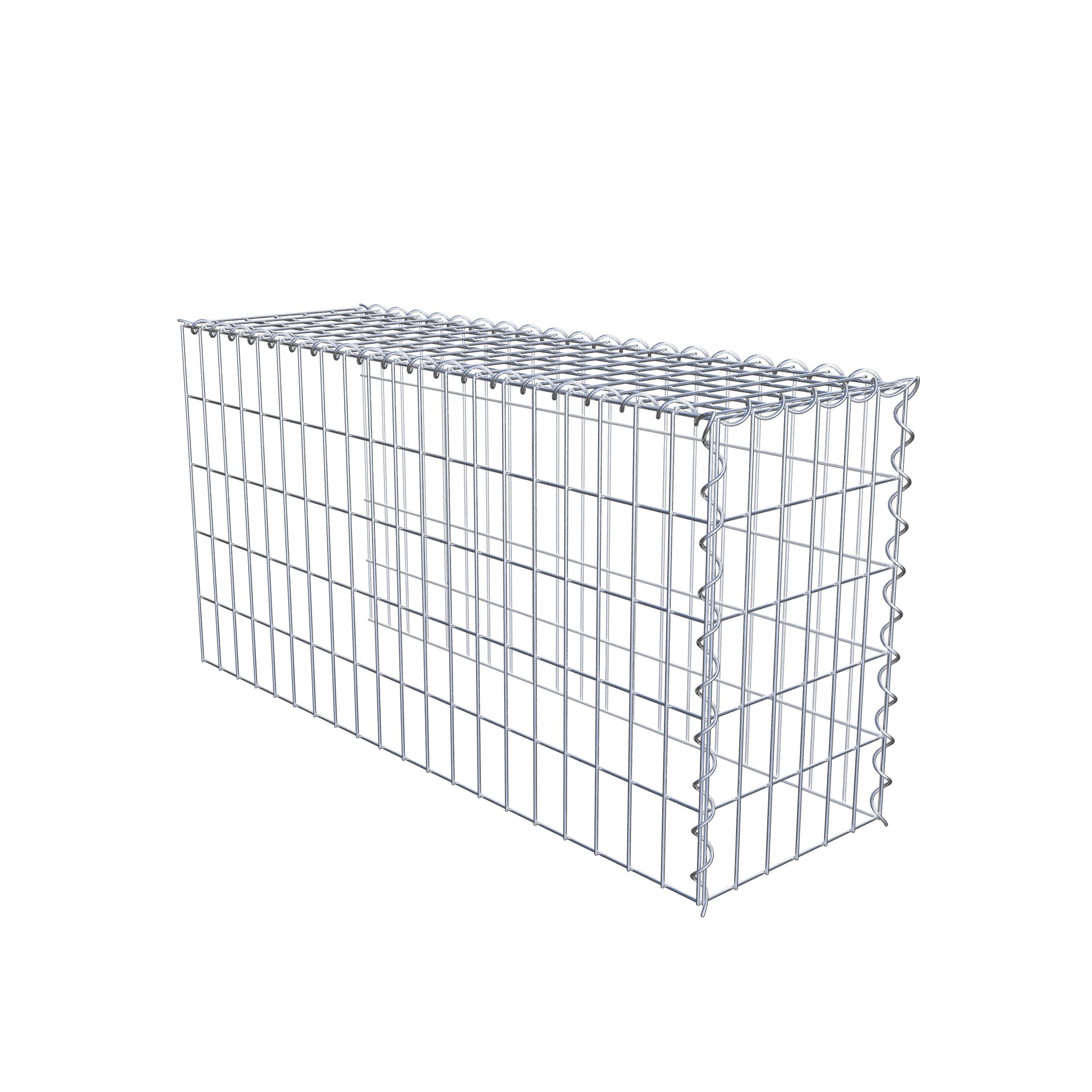 Opvokset gabion type 4 100 cm x 50 cm x 30 cm (L x H x D), maskestørrelse 5 cm x 10 cm, spiral