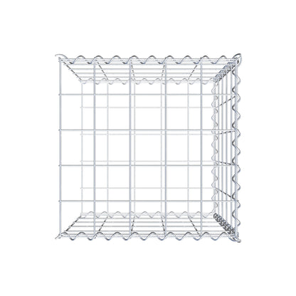 Grown-on gabion type 2 50 cm x 50 cm x 50 cm (L x H x D), mesh size 10 cm x 10 cm, spiral