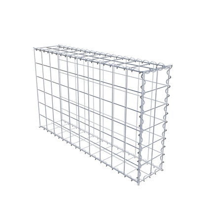 Grown-on gabion type 2 100 cm x 60 cm x 20 cm (L x H x D), mesh size 10 cm x 10 cm, spiral
