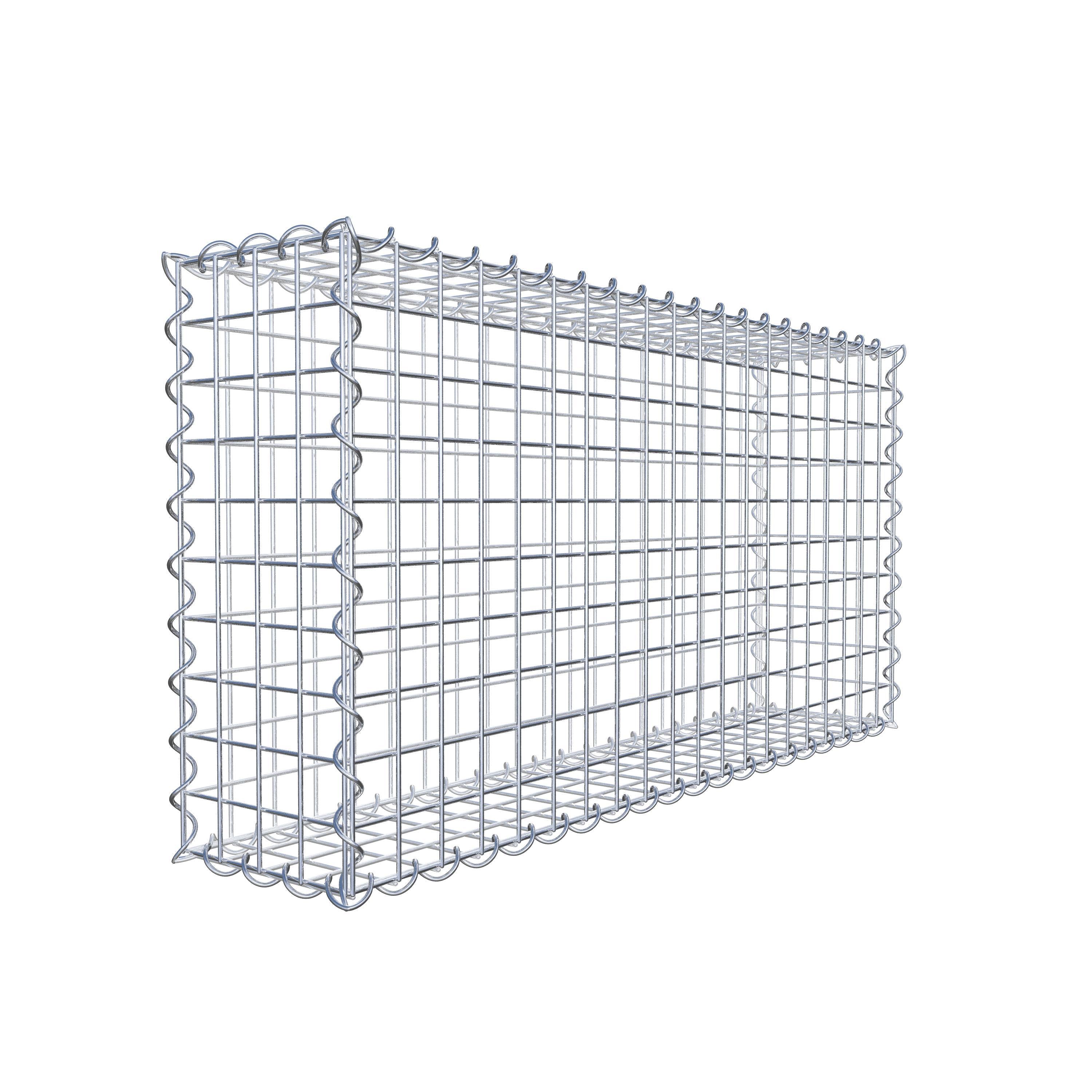 Gabion 100 cm x 50 cm x 20 cm (L x H x D), maskstorlek 5 cm x 5 cm, spiral