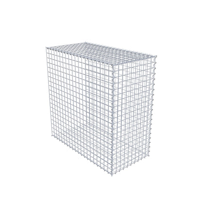 Opvokset gabion type 2 100 cm x 100 cm x 50 cm (L x H x D), maskestørrelse 5 cm x 5 cm, spiral