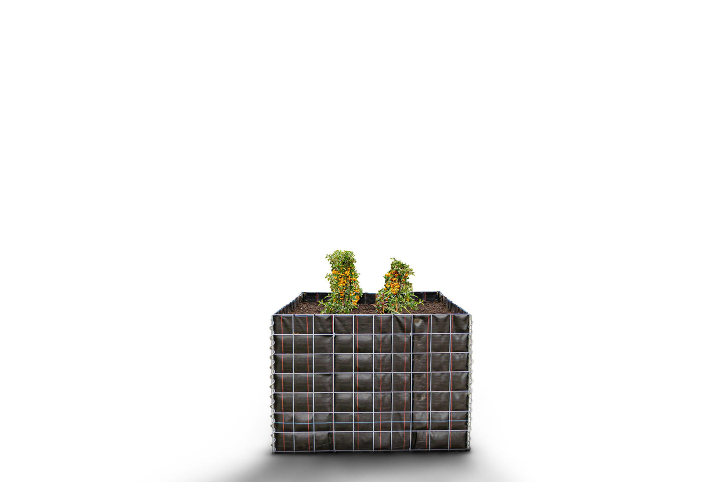 Högbädd, fyrkantig utan stenområde - Längd: 100 cm - Höjd: 70 cm - Djup: 100 cm - Maskstorlek: 10 x 10 cm