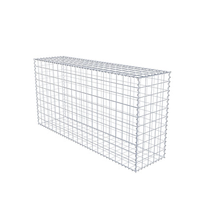 Gabion 200 cm x 100 cm x 50 cm (L x H x P), mailles 10 cm x 10 cm, spirale