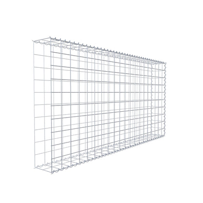 Grown-on gabion type 2 200 cm x 100 cm x 20 cm (L x H x D), mesh size 10 cm x 10 cm, spiral
