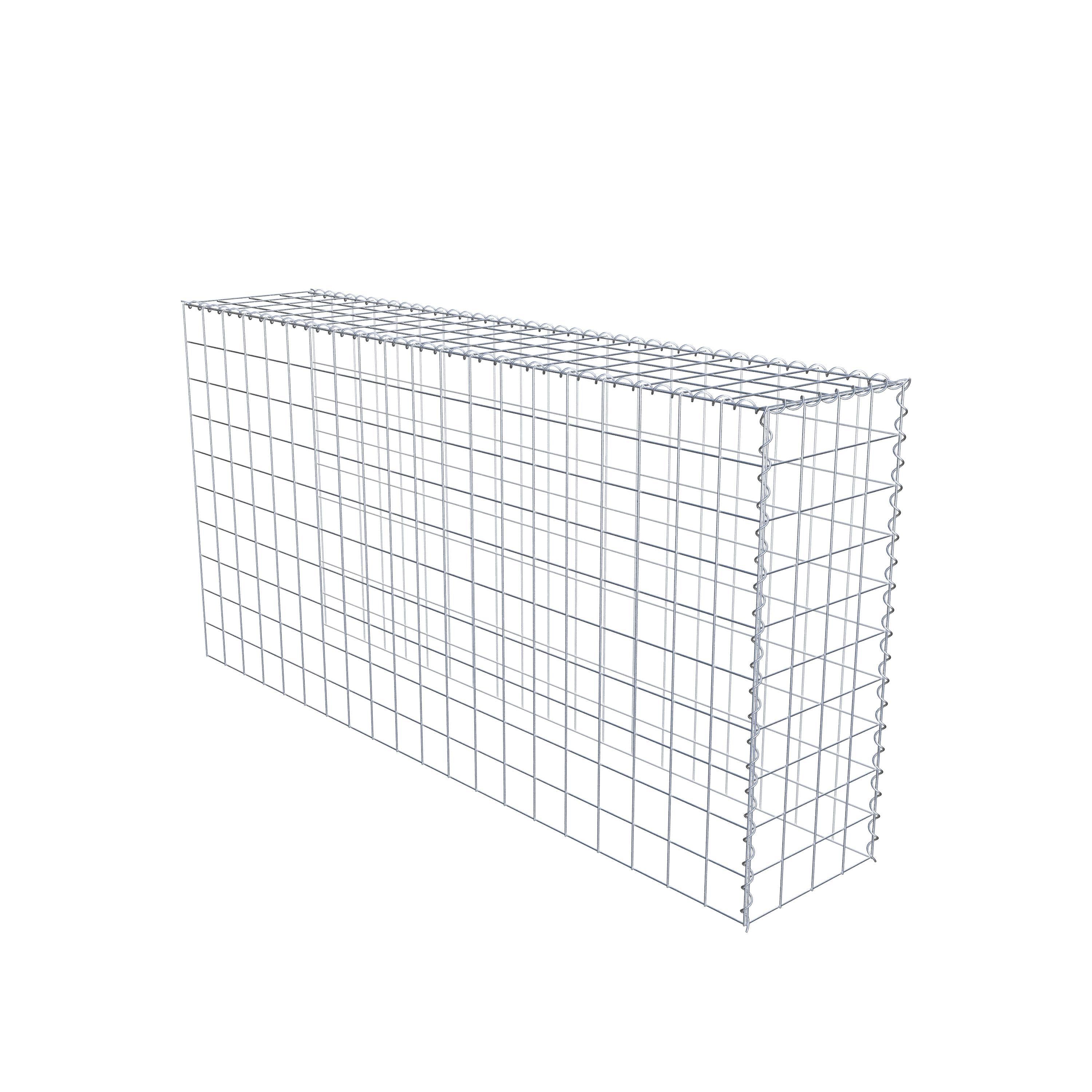 Grown-on gabion type 4 200 cm x 100 cm x 40 cm (L x H x D), mesh size 10 cm x 10 cm, spiral