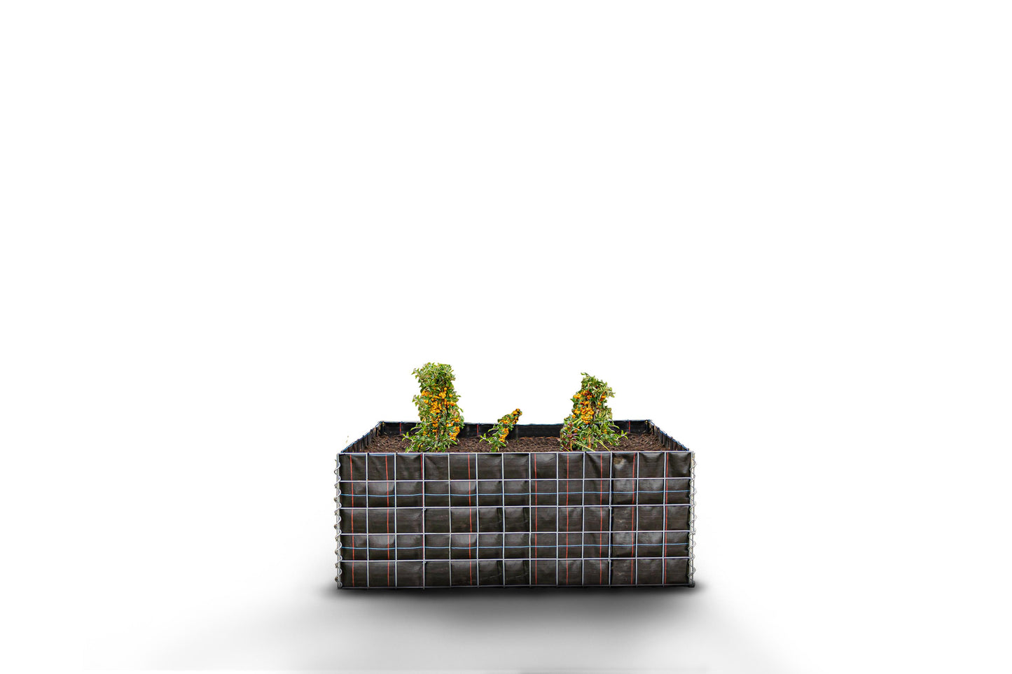 Lit surélevé carré sans zone de pierres - Longueur : 130 cm - Hauteur : 50 cm - Profondeur : 80 cm - Largeur des mailles : 10 x 10 cm