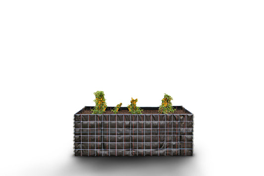 Rechthoekig verhoogd bed zonder stenen - Lengte: 170 cm - Hoogte: 60 cm - Diepte: 60 cm - Maaswijdte: 10 x 10 cm