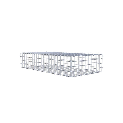 Gabion 100 cm x 20 cm x 50 cm (L x H x D), maskestørrelse 5 x 5 cm, spiralring