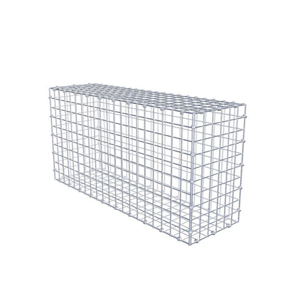 Gabion 100 cm x 50 cm x 30 cm (L x H x D), maskestørrelse 5 x 5 cm, spiralring