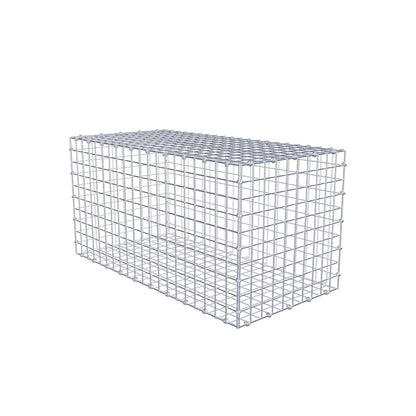 Gabion 100 cm x 50 cm x 50 cm (L x H x P), mailles 5 x 5 cm, anneau en spirale