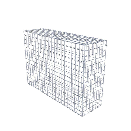 Gabion 100 cm x 70 cm x 30 cm (L x H x P), mailles 5 x 5 cm, anneau en spirale