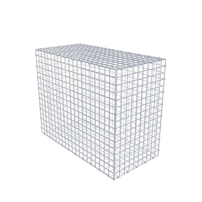 Gabion 100 cm x 80 cm x 50 cm (L x H x P), mailles 5 x 5 cm, anneau en spirale