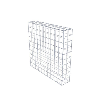 Gabion 100 cm x 100 cm x 20 cm (L x H x P), mailles 10 x 10 cm, anneau en spirale