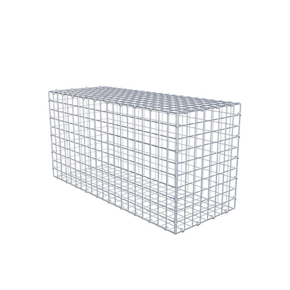 Gabion 100 cm x 50 cm x 40 cm (L x H x P), mailles 5 cm x 5 cm, anneau en C
