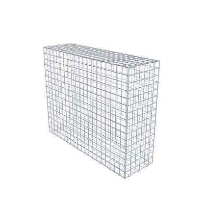Gabion 100 cm x 80 cm x 30 cm (L x H x P), mailles 5 cm x 5 cm, anneau en C