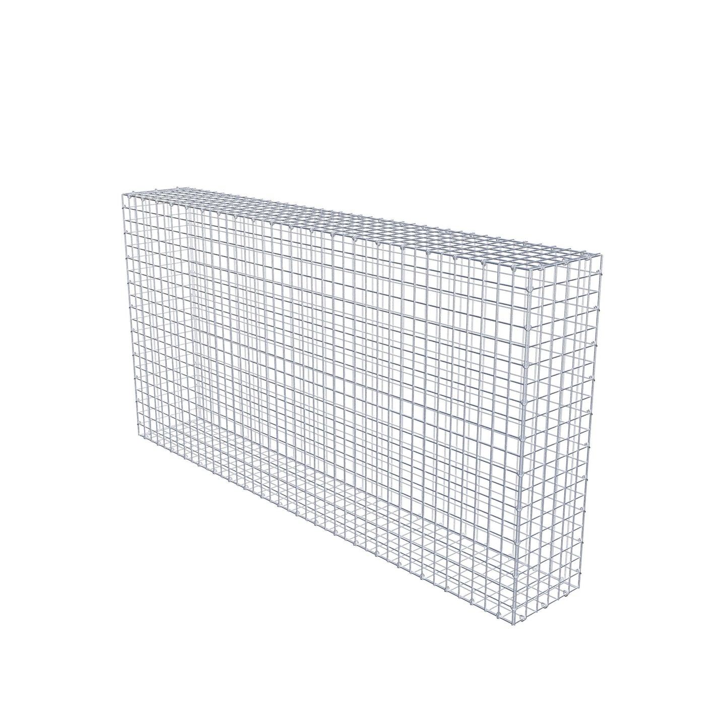 Gabion 200 cm x 100 cm x 30 cm (L x H x P), mailles 5 cm x 5 cm, anneau en C