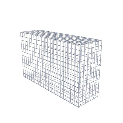 Extra gabion typ 2 100 cm x 60 cm x 30 cm (L x H x D), maskstorlek 5 cm x 5 cm, C-ring