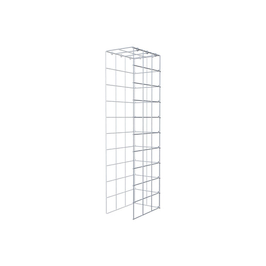 Monteret gabion type 4 100 cm x 30 cm x 20 cm (L x H x D), maskestørrelse 10 cm x 10 cm, C-ring