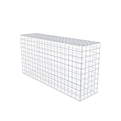 Gabion 200 cm x 100 cm x 50 cm (L x H x D), maskstorlek 10 cm x 10 cm, C-ring