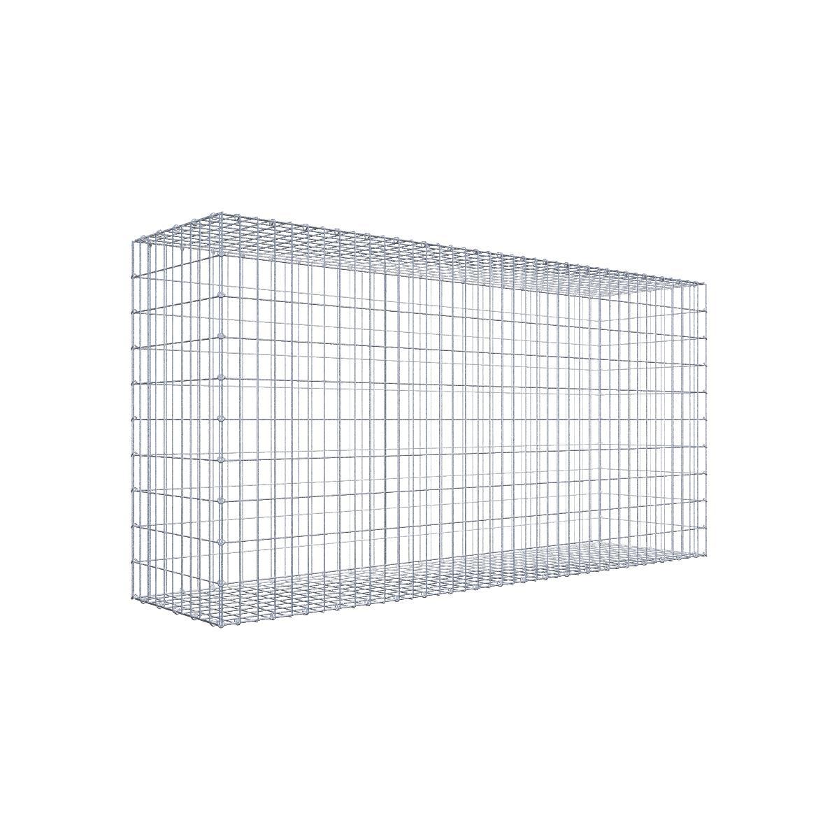 Gabione 05x10 200x100x050 Typ1 C-Ring