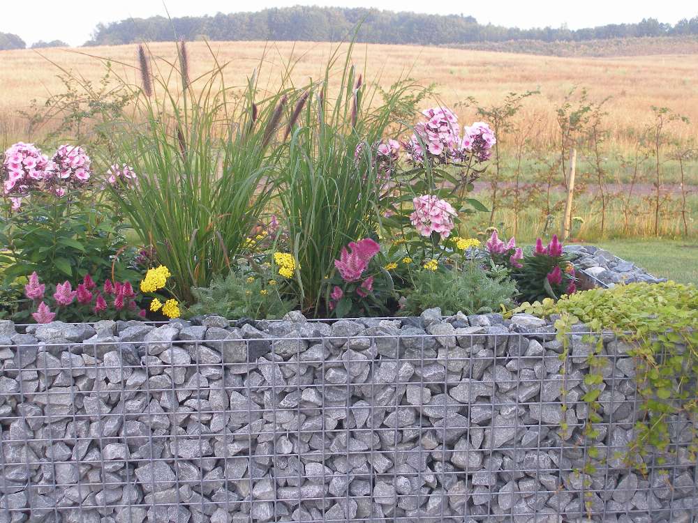 Gabion verhoogd bed op maat - maaswijdte 5x5cm