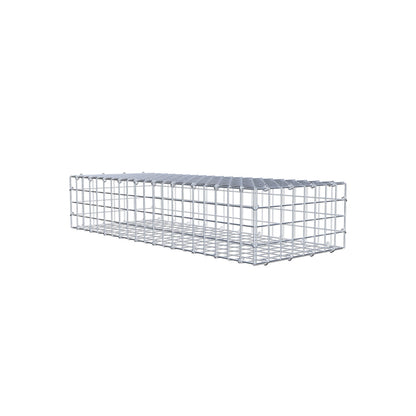 Gabion 100 cm x 20 cm x 40 cm (L x H x D), maskstorlek 5 cm x 5 cm, C-ring