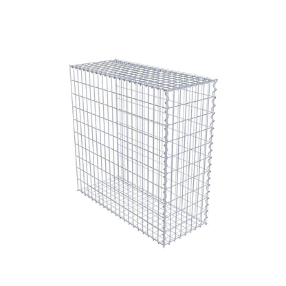 Opvokset gabion type 2 100 cm x 100 cm x 40 cm (L x H x D), maskestørrelse 5 cm x 10 cm, spiral