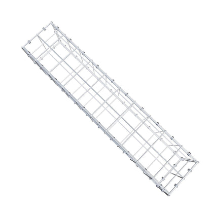 Gabbione 100 cm x 20 cm x 20 cm (L x H x P), maglia 10 x 10 cm, anello a spirale