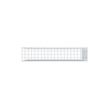 Type 4 oplegkorf 100 cm x 60 cm x 20 cm (L x H x D), maaswijdte 5 cm x 5 cm, C-ring