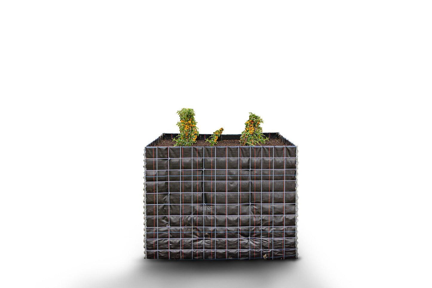 Lecho elevado rectangular sin zona de piedras - Longitud: 130 cm - Altura: 100 cm - Profundidad: 60 cm - Luz de malla: 10 x 10 cm