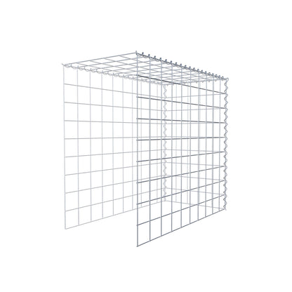 Grown-on gabion type 4 100 cm x 90 cm x 50 cm (L x H x D), mesh size 10 cm x 10 cm, spiral