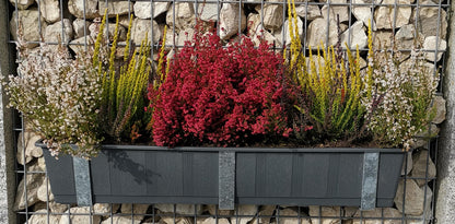 Galvaniseret blomsterkasseholder i sæt af 3 inkl. urtepotte, til gabioner MW 5 x 10