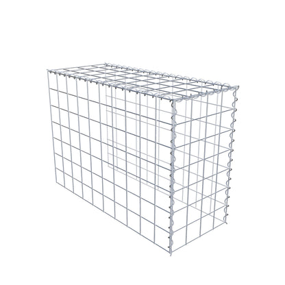Grown-on gabion type 4 100 cm x 70 cm x 40 cm (L x H x D), mesh size 10 cm x 10 cm, spiral