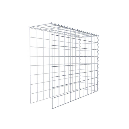 Opvokset gabion type 4 100 cm x 80 cm x 30 cm (L x H x D), maskestørrelse 10 cm x 10 cm, spiral