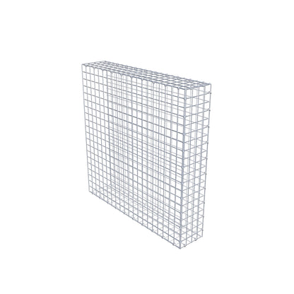 Bevestigbare schanskorf type 2 100 cm x 100 cm x 20 cm (L x H x D), maaswijdte 5 cm x 5 cm, C-ring