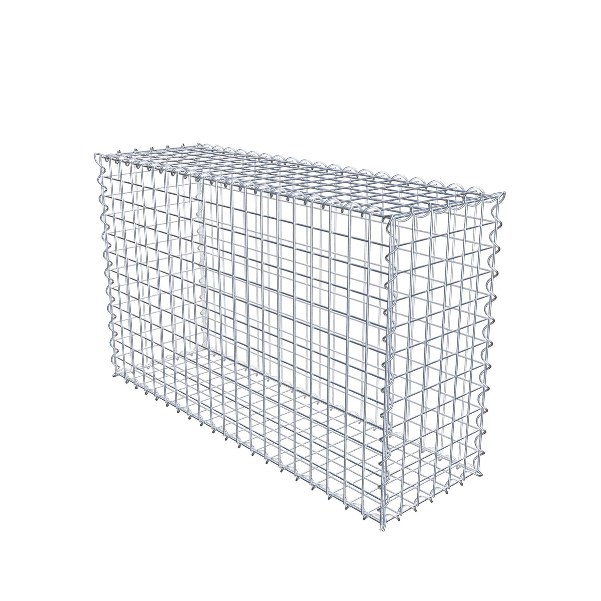 Gabion 100 cm x 60 cm x 30 cm (L x H x P), mailles 5 cm x 5 cm, spirale