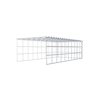 Grown-on gabion type 4 100 cm x 30 cm x 50 cm (L x H x D), mesh size 10 cm x 10 cm, spiral