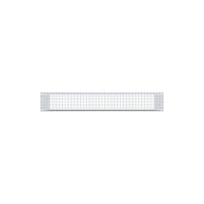 Gabion 200 cm x 100 cm x 30 cm (L x H x D), maskstorlek 5 cm x 5 cm, C-ring